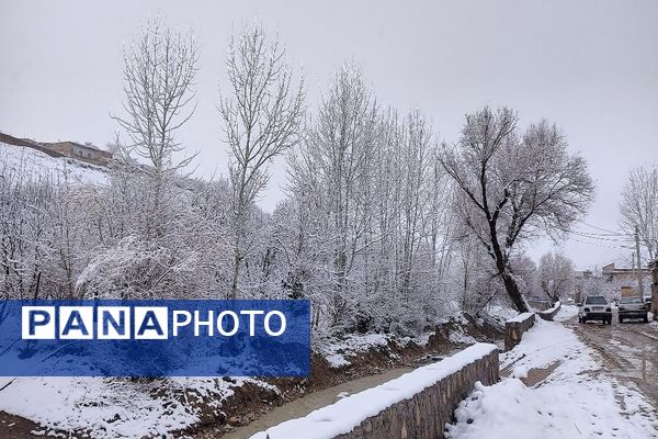 آسمان سخاوتمندانه نعمتش را در ماه شعبان به زمین شهر بار هدیه کرد