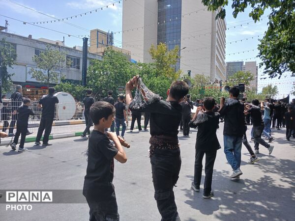 عاشورا؛ روایت دلدادگی در قاب اشک و ارادت 