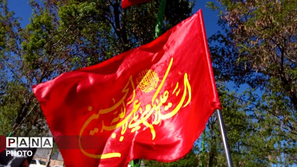 موج همدلی و وفاداری در کیار