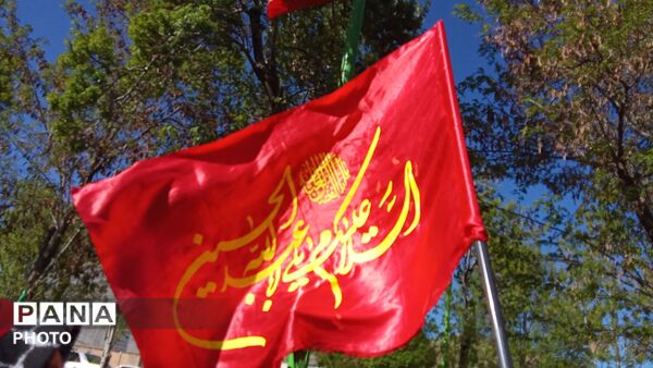 موج همدلی و وفاداری در کیار