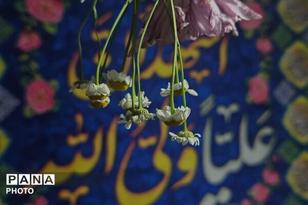 نبض شهر به عشق علی(ع) تپید