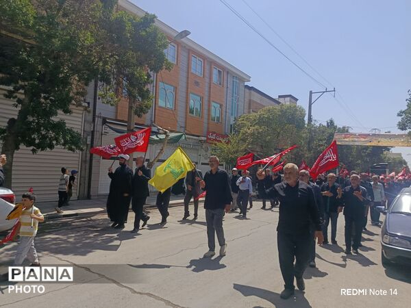جاماندگان اربعین حسینی هم قدم تا کربلا