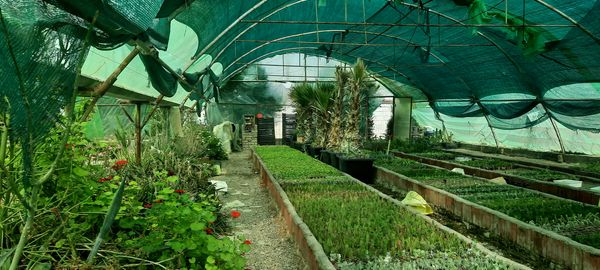 بازدید دانش‌آموزان مدرسه شهید خاقانی از گلخانه پیشه‌وران شیروان