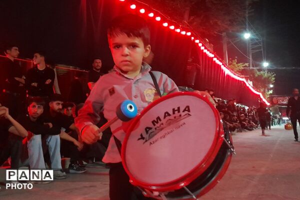 از کربلا تا ایران؛ عزاداران حسینی با پرچم ایران، پیام وحدت و استقامت را فریاد زدند