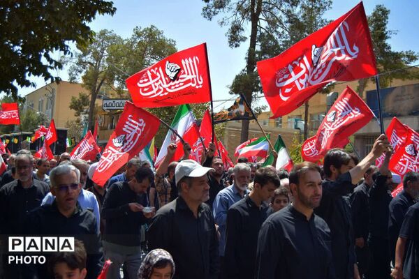 لبیک از دور؛ حماسه حضور جاماندگان اربعین در اردکان