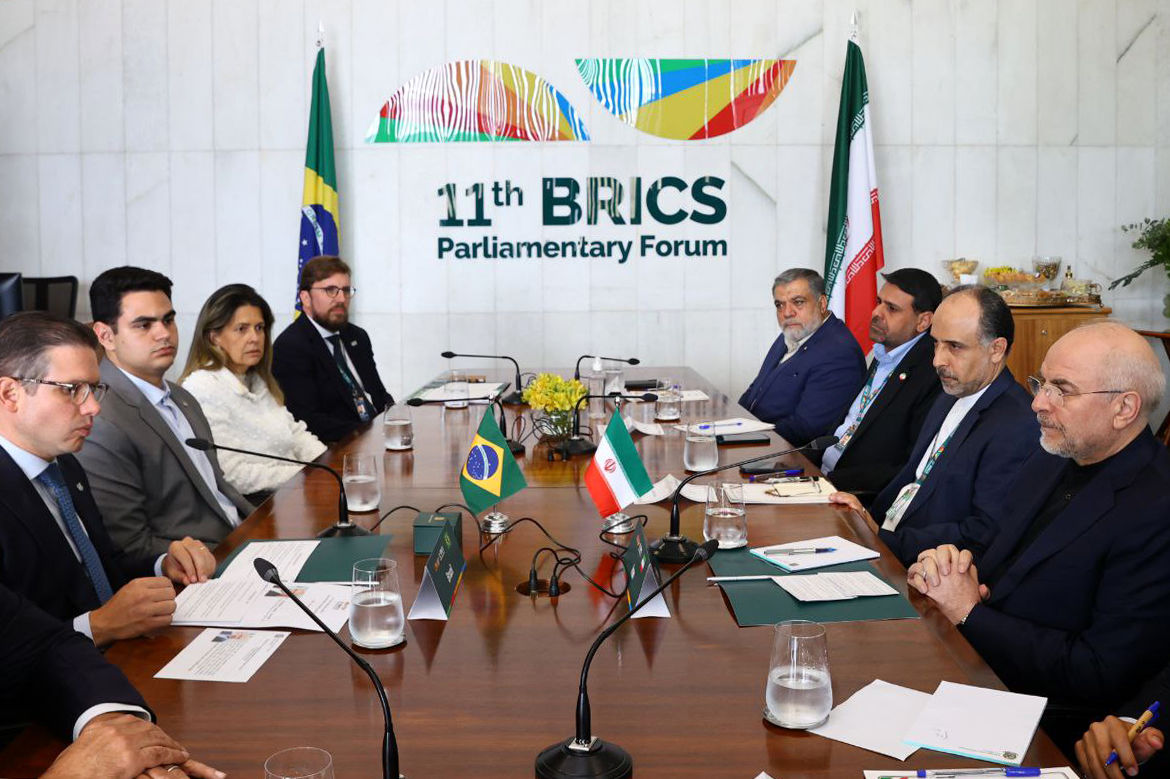 ضرورت نهادسازی پایدار برای تقویت دیپلماسی پارلمانی در بریکس