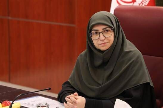 انصاری: معضلات زیست‌محیطی بدون مشارکت زنان و بخش خصوصی حل نمی‌شود