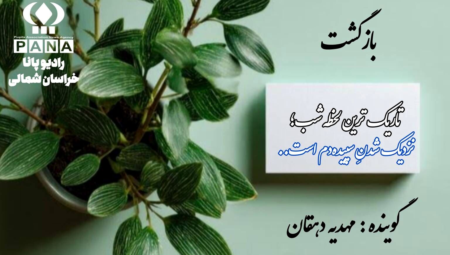 «دوباره از نو: هنر برخاستن از میانِ خاکسترِ شکست‌ها»
