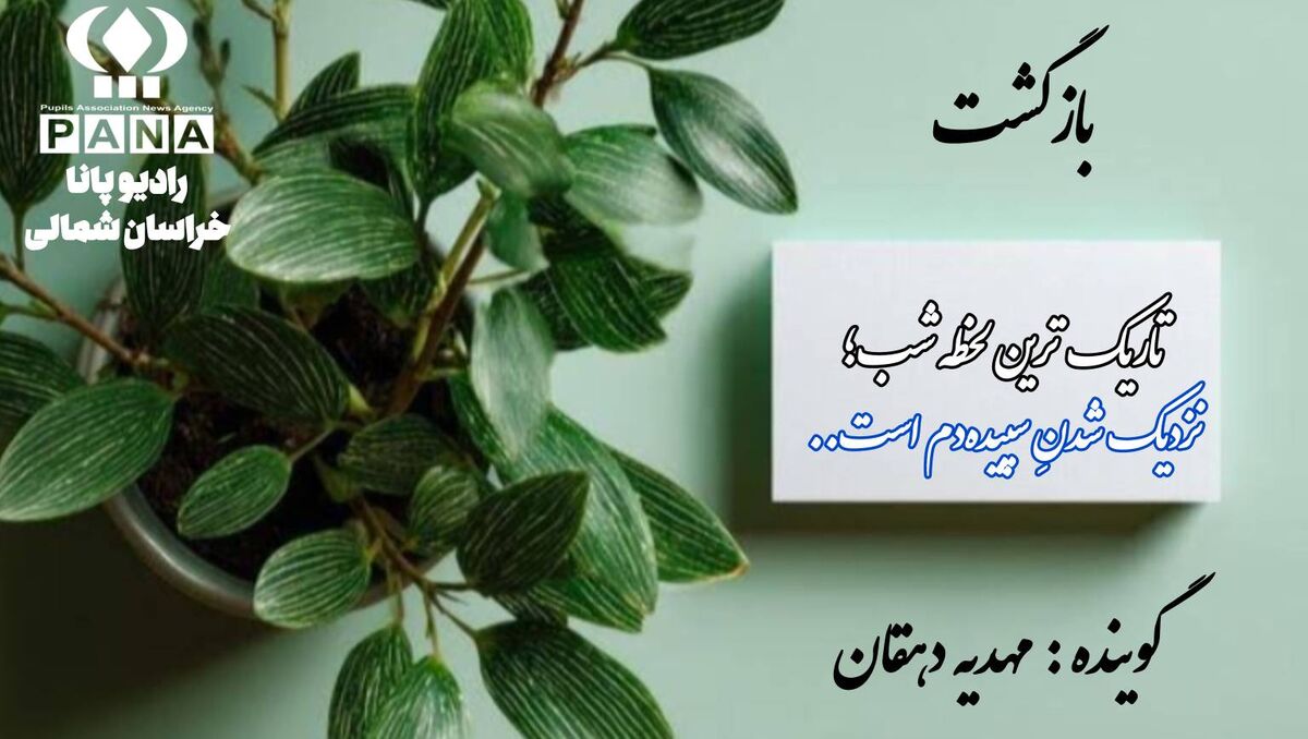 «دوباره از نو: هنر برخاستن از میانِ خاکسترِ شکست‌ها»
