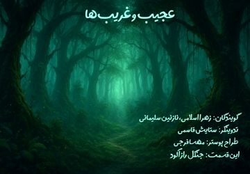 جنگل راز آلود، یکی از زیبایی‌های طبیعت 