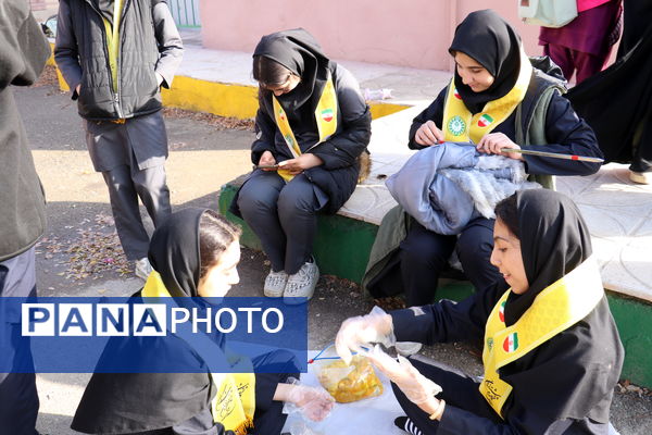 کارگاه آموزشی یاورمربیان پیشتازان سازمان دانش‌آموزی شهرستان نظرآباد