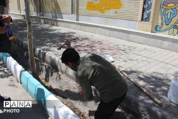 کاشت درخت به نام شهدا