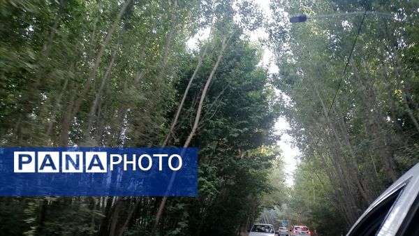 باغ بهادران؛ بهشت کوچکی در اصفهان