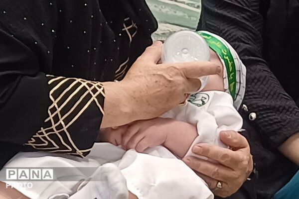 زمزمه‌معصومیت در دل تاریخ؛