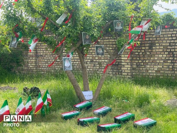 پویش ملی کاشت نهال امید در شهرستان رامیان