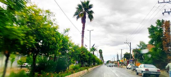 بارش باران فاریاب را شست و هوای غبار آلود پاک شد