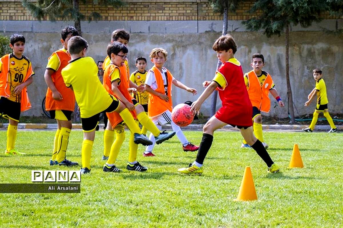 مدارس فوتبال دنبال پول هستند
