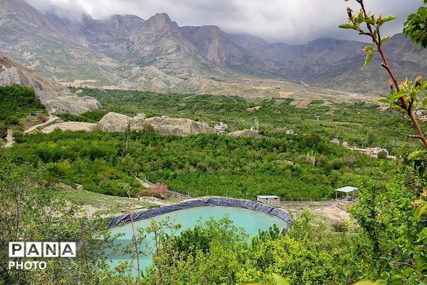 آلبوم تصویری از طبیعت زیبای شهر بار در اردیبهشت‌ماه  ۱۴۰۵ـ۲