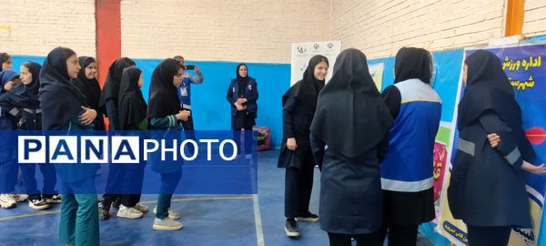 برگزاری مسابقه استعدادیابی دارت در اردوی تمشک دختران شهرستان شیروان