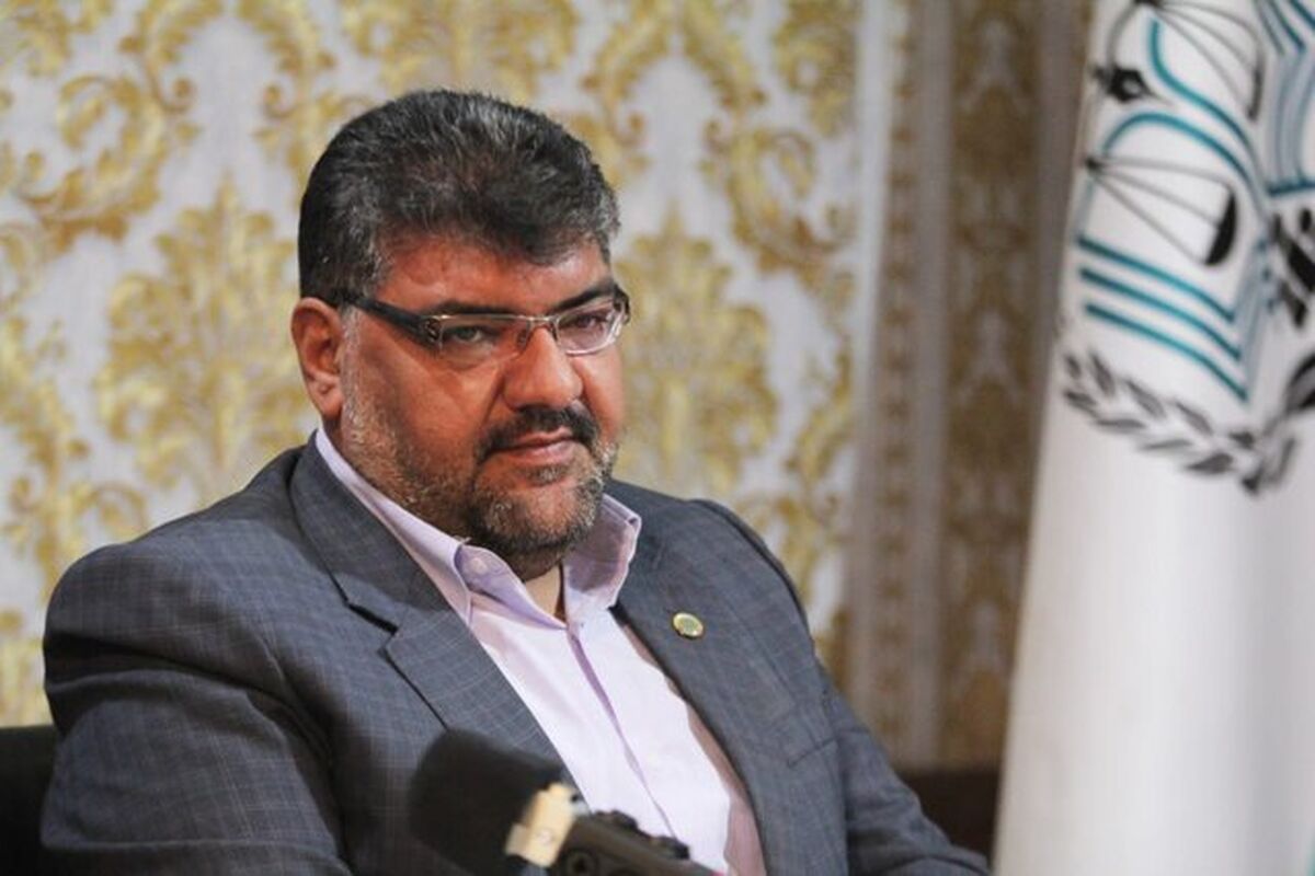 تشریح برنامه‌های مرکز وکلا در زمینه آموزش تخصصی وکالت