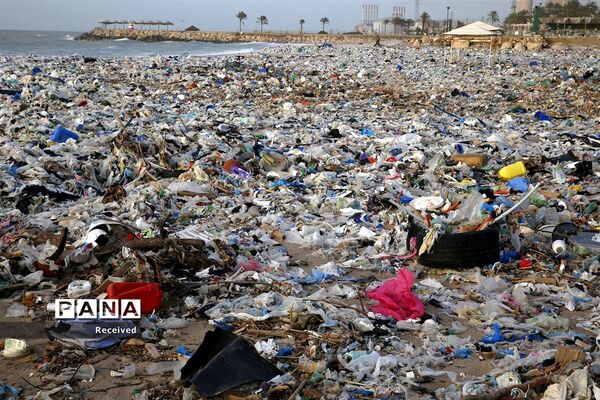 زندگی پلاستیکی، مرگ طبیعت