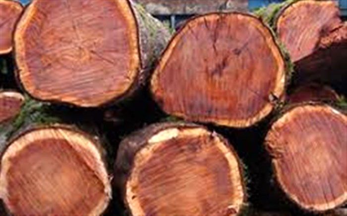 کشف چوب قاچاق در پلیس راه نوکنده