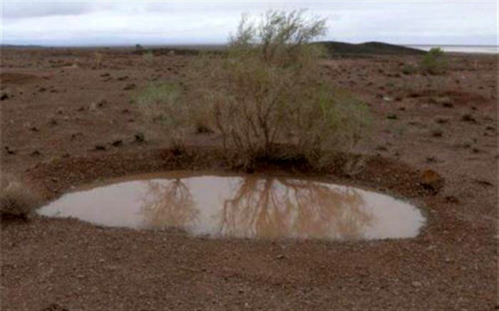 77 درصد مساحت شهرستان قاینات اراضی بیابانی است