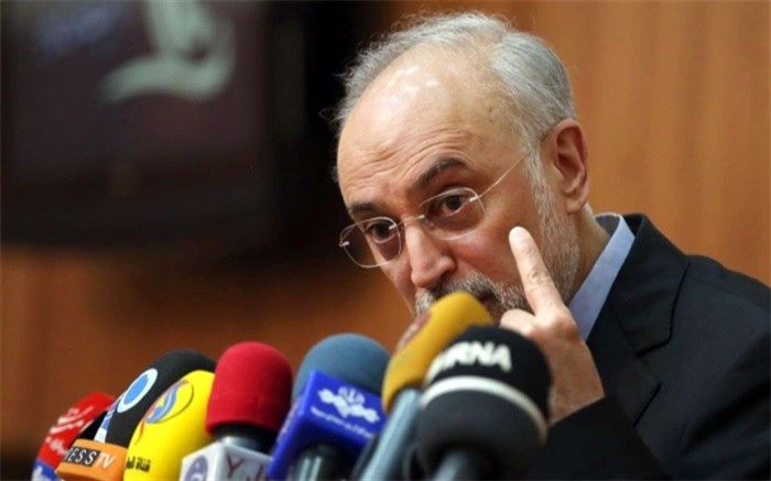 صالحی: در نطنز  زیرساخت یک میلیون سو غنی‌سازی را آماده کردیم