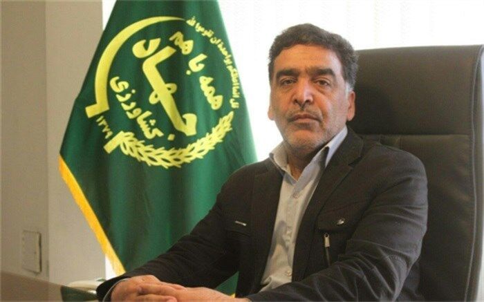 برداشت 1300 تن گل ختمی و کاسنی  در کاشان