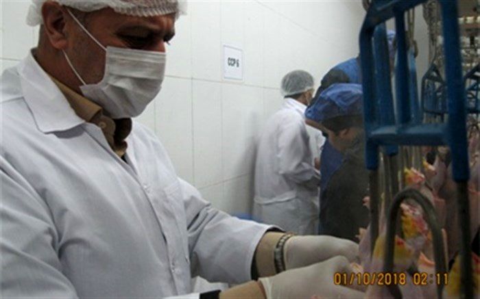 ضبط بیش از 9 هزار کیلوگرم فرآورده خام دامی در استان مرکزی