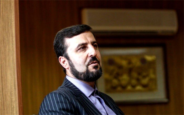 کاظم غریب‌آبادی جایگزین رضا نجفی در وین شد