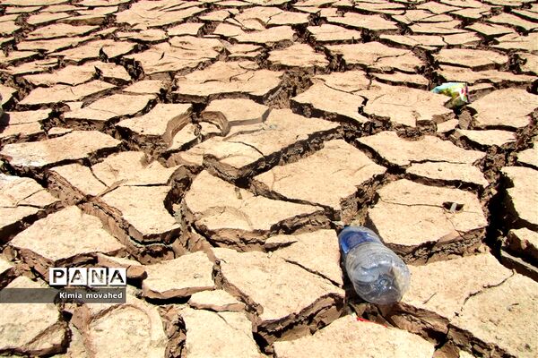 آخرین تلاش برای زندگی