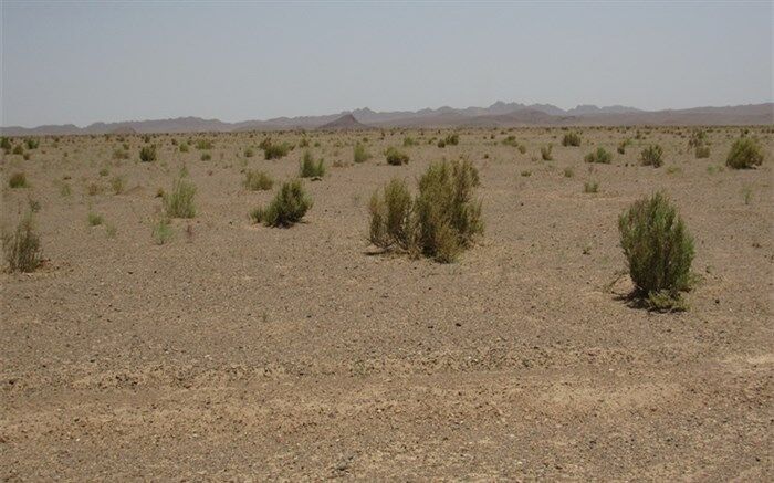 طرح ترسیب کربن در 9 شهرستان خراسان جنوبی اجرا می شود