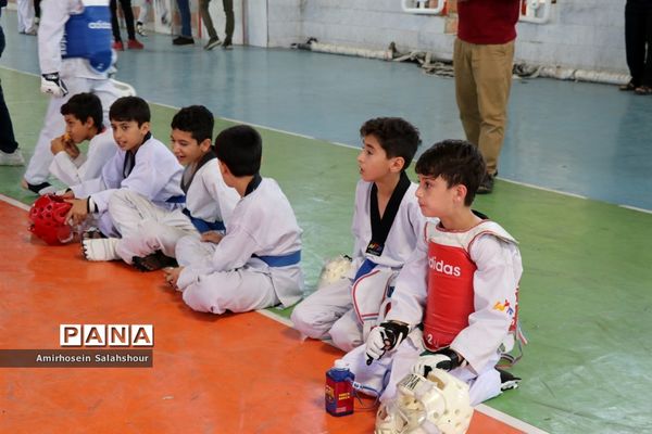 مسابقات تکواندو در قائم‌شهر