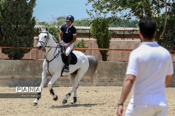 مسابقات پرش با اسب