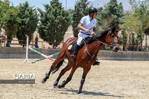 مسابقات پرش با اسب