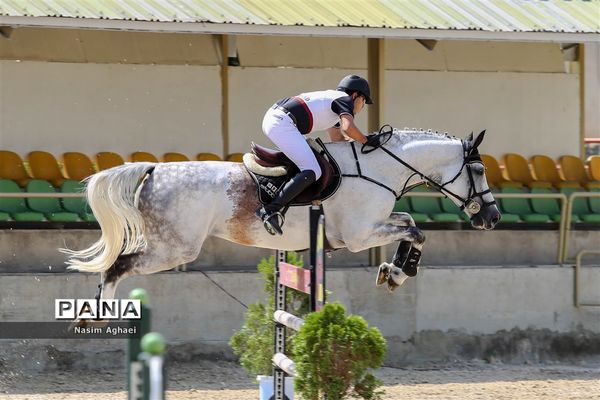 مسابقات پرش با اسب