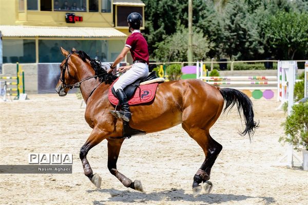 مسابقات پرش با اسب