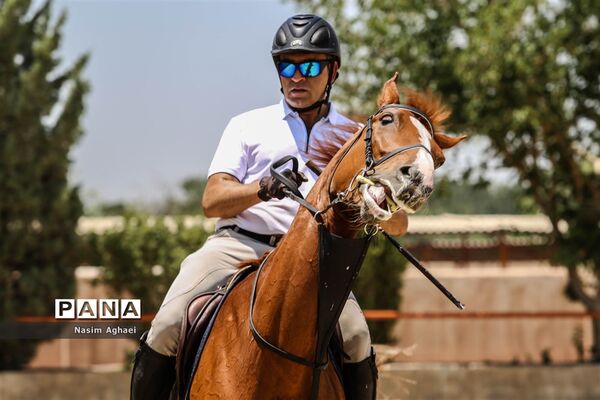 مسابقات پرش با اسب
