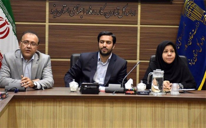 عدم تعامل اجتماعی مناسب مانع از پیشرفت کارآفرینی در جامعه می شود