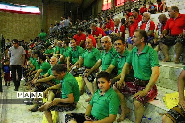 آیین کشوری ترویج فرهنگ پهلوانی
