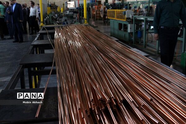 بازدید استاندار آذربایجان شرقی از واحد های تولیدی و صنعتی شهرک سلیمی