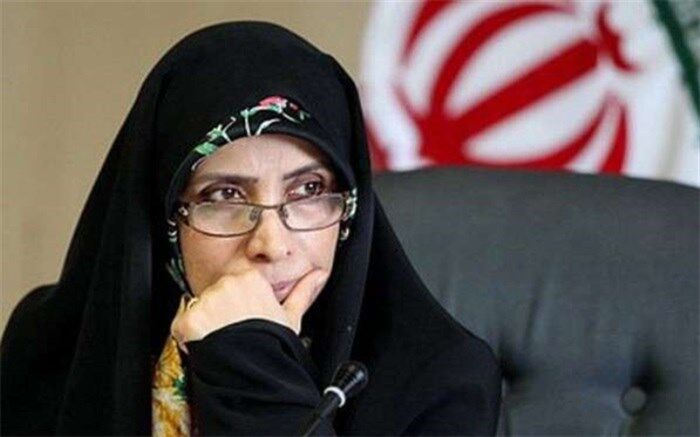 امین‌زاده : گفت‌و‌گوی مستقیم با اروپا کمک می‌کند  برجام بدون آمریکا را بهتر تجربه کنیم