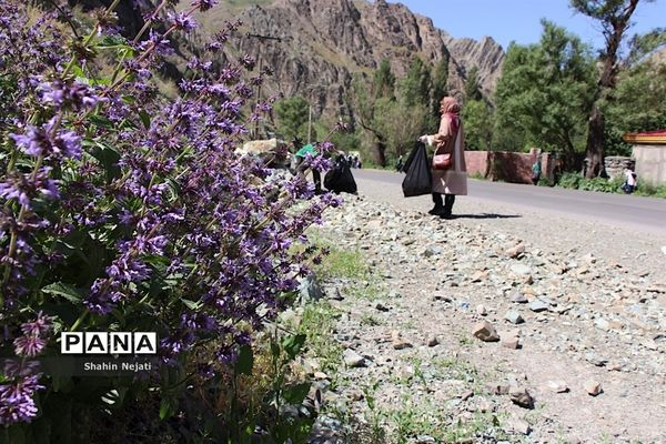 اجرای طرح پاکداشت طبیعت در جاده کرج-چالوس