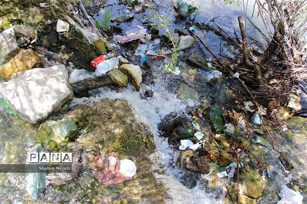 اجرای طرح پاکداشت طبیعت در جاده کرج-چالوس