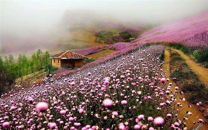 تصاویری از حاشیه رویایی‌ترین جاده ایران ببینید