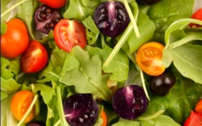 مهلت سازمان غذا و دارو به شرکت‌ها برای برچسب‌گذاری محصولات تراریخته