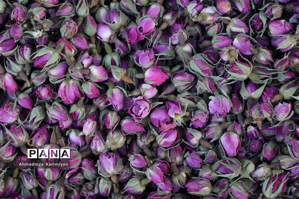 دالان‌های هزار توی بازار وکیل