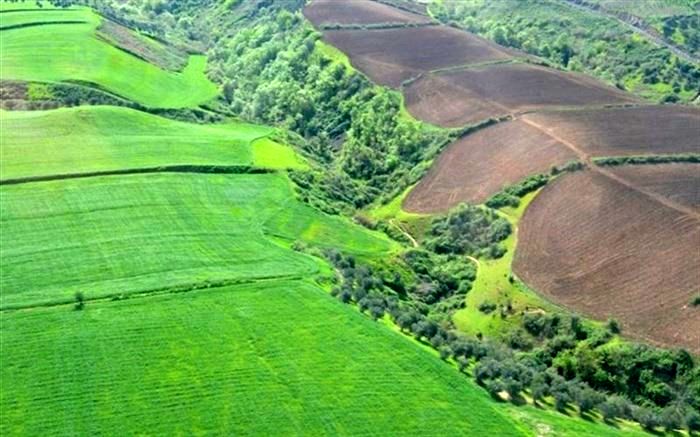 زمین‌خواری ۳ میلیاردی در مینودشت کشف شد