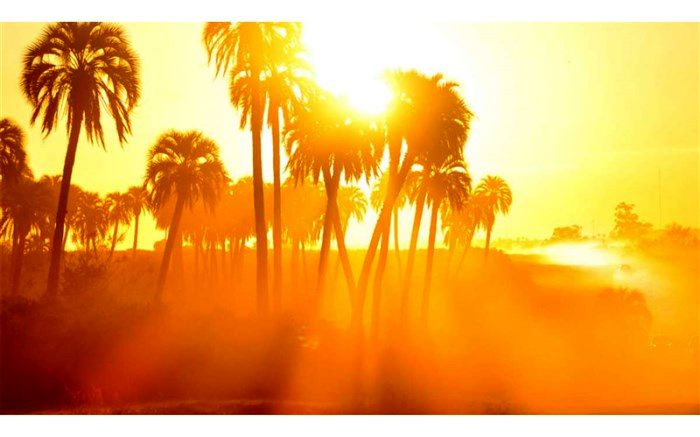 ادارات، شرکت‌ها و بانک‌های خوزستان روز چهارشنبه هفته جاری تعطیل شدند